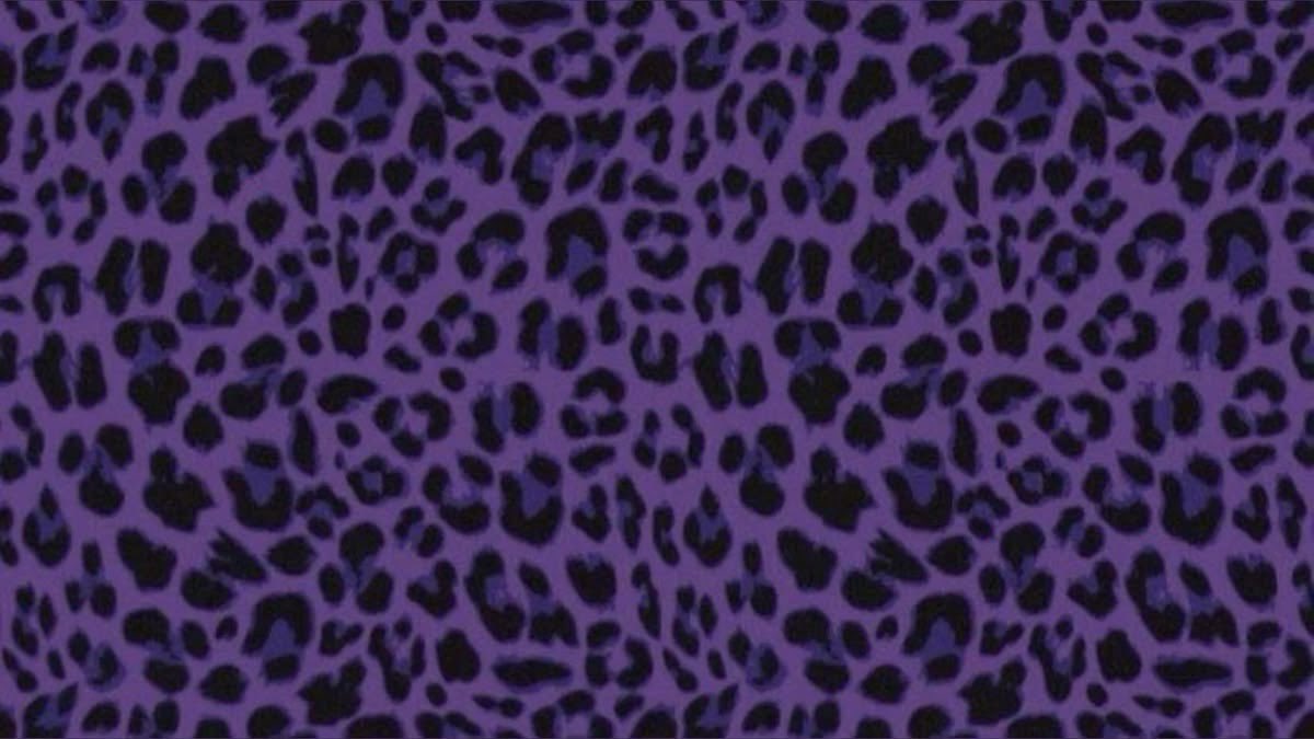 🐾𓍢ִ ` 𝓒͟𝐋𝐀𝐖𝐃𝐄𝐄𝐍 .ᐟ ₊⊹ tweet media