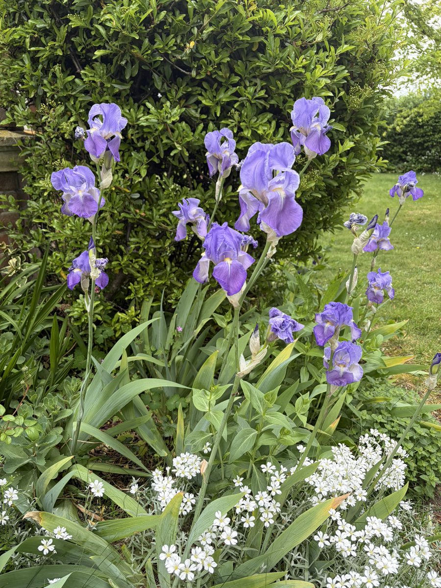 Jean JL 🩵💜 tweet media