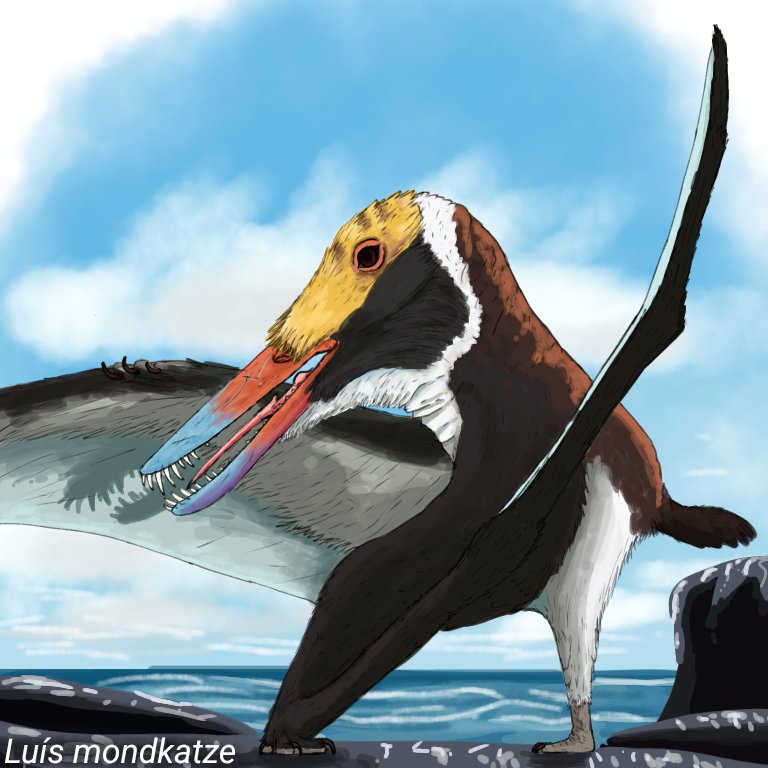 Luismondkatze01's tweet photo. #PteromaioBR dia 2

#Brasileodactylus araripensis inspired primarily by seabirds

#paleoart https://t.co/nPHlBmfXn7
