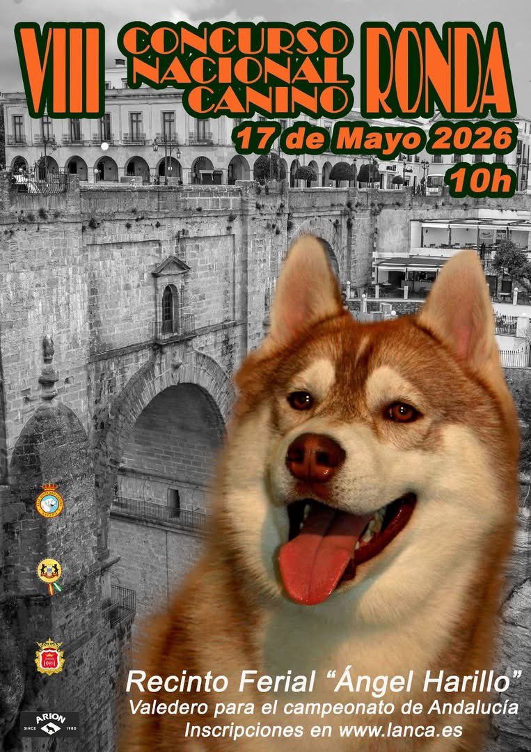 SocCaninaCSol's tweet photo. Expositores , criadores , socios de sociedades canina y clubs y aficionados a los perros. Os recordamos que mañana 11 de Mayo cerramos definitivamente el plazo de inscripción para el Concurso Nacional Canino de Ronda. https://t.co/pYrrhlgosj