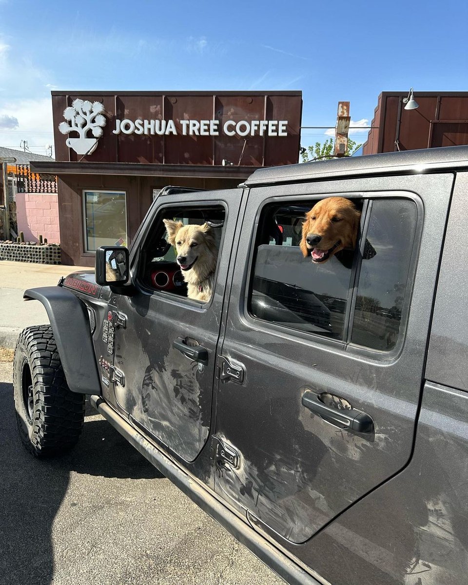 Joshua Tree Coffee tweet media