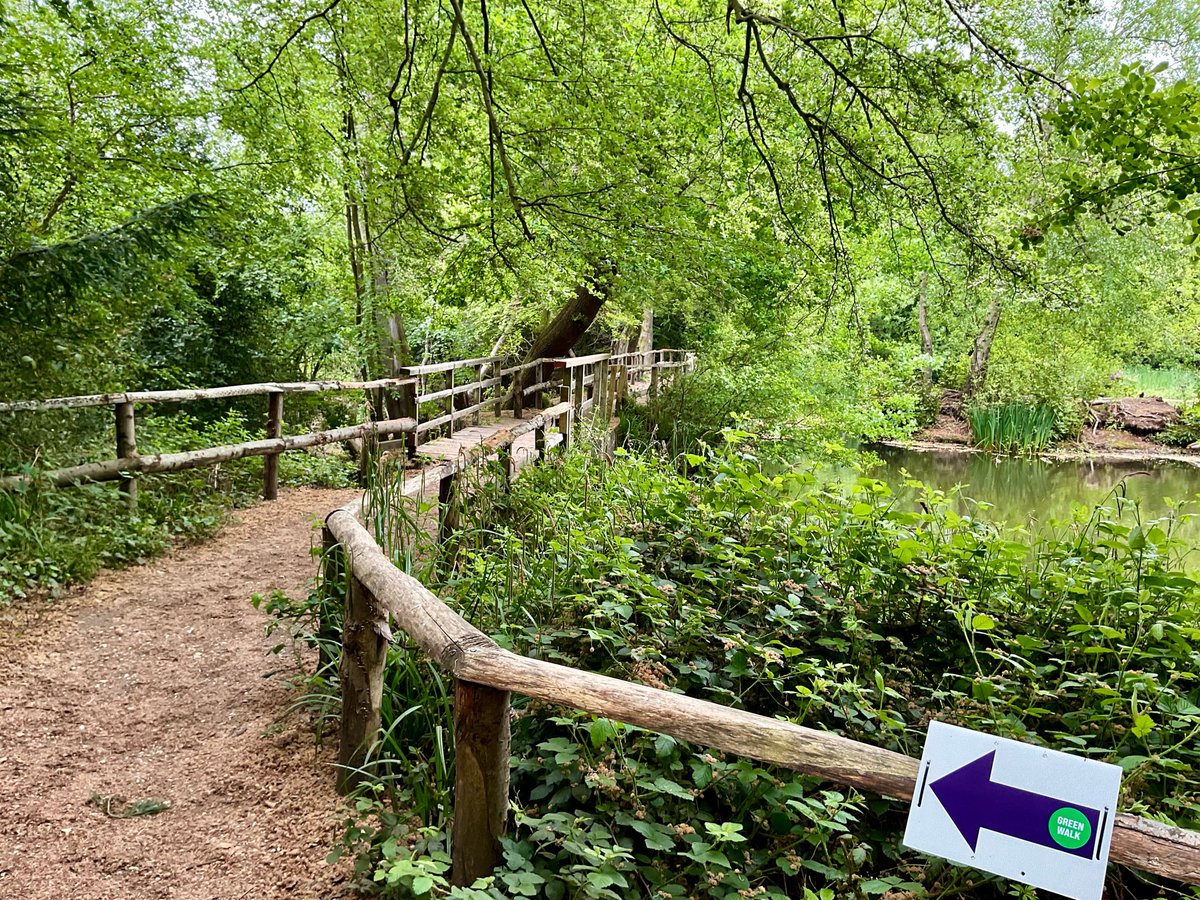 skylark22BHC1's tweet photo. Managed to complete the Green Walk today, part of the Fun Walk 2026 for St Christopher’s Hospice.  Here are some pictures from around the walk on Keston Common. And me showing off my medal and t-shirt. #FunWalk #keston #walkeveryday https://t.co/zt5mzuTpZZ