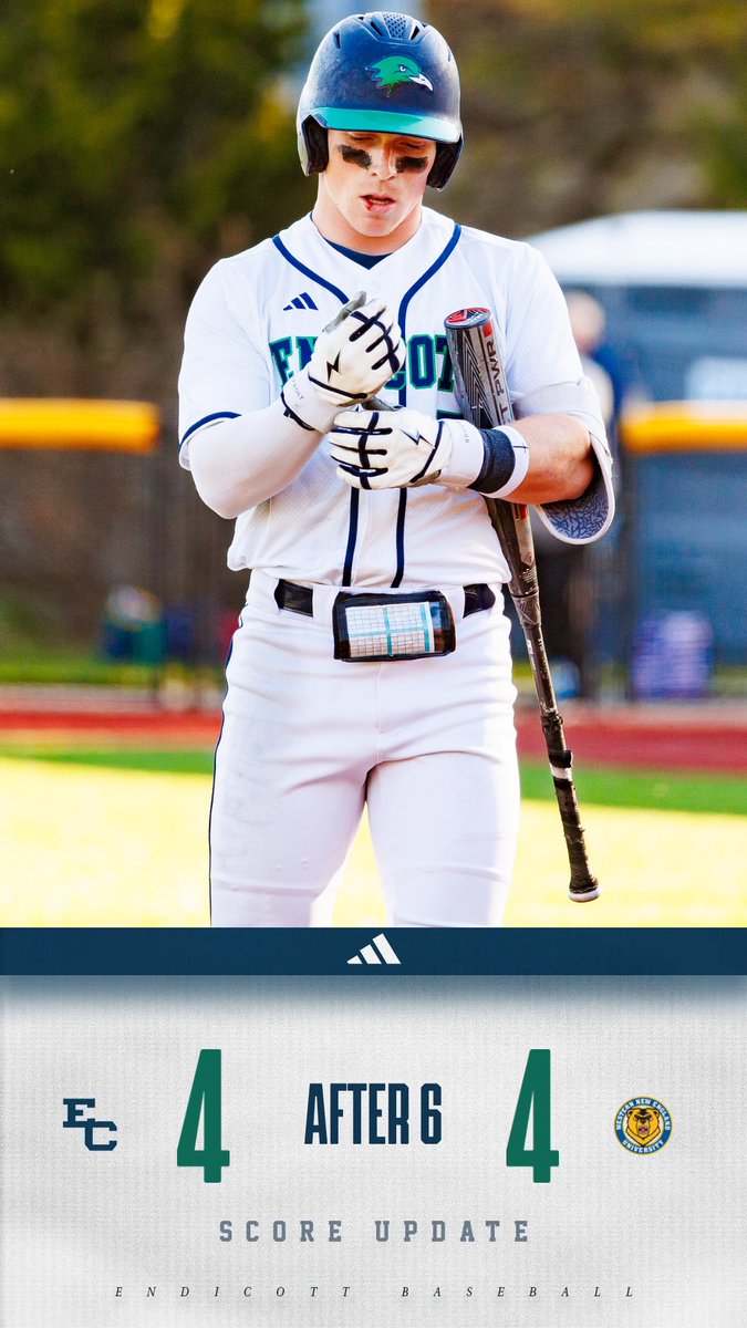 Endicott Baseball tweet media