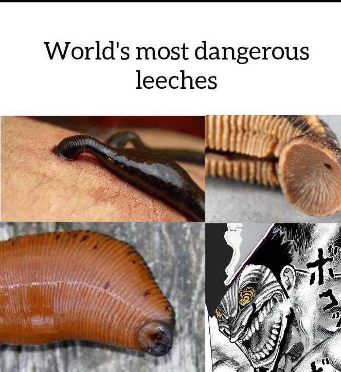 QuasarPunk's tweet photo. #ONEPIECE
It's time to leech on the hashtag https://t.co/8jkqTphx1N
