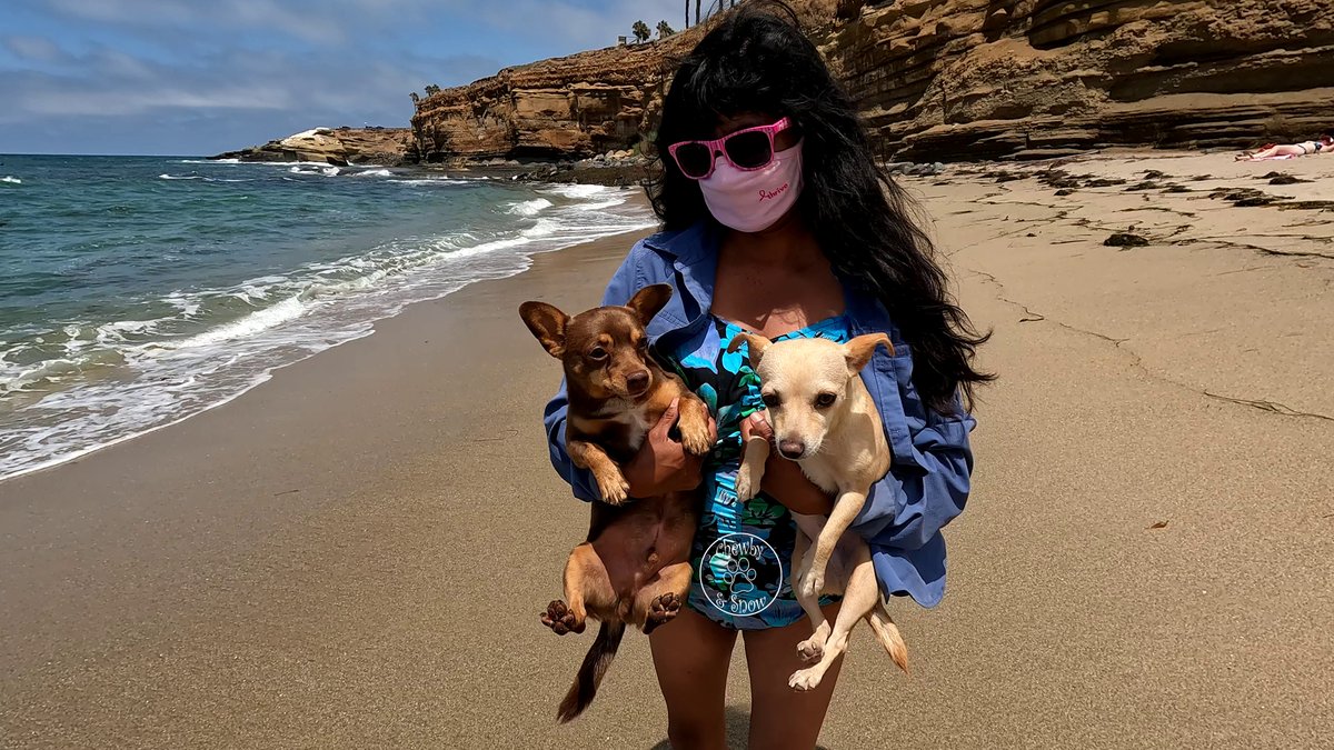 80sqween's tweet photo. Happy Mother's Day to all of the Fur Mommies in the world! I may not have human babies, but I am so blessed in my life. Thank you Chewby, Snow, Chiquita, & Scruffy for making me a Mommy. #DogsofTwitter #CatsonX #DogsofX #DogsonX #Snowby #ChewbySnow #MothersDay #HappyMothersDay https://t.co/4YuGRrRKSp