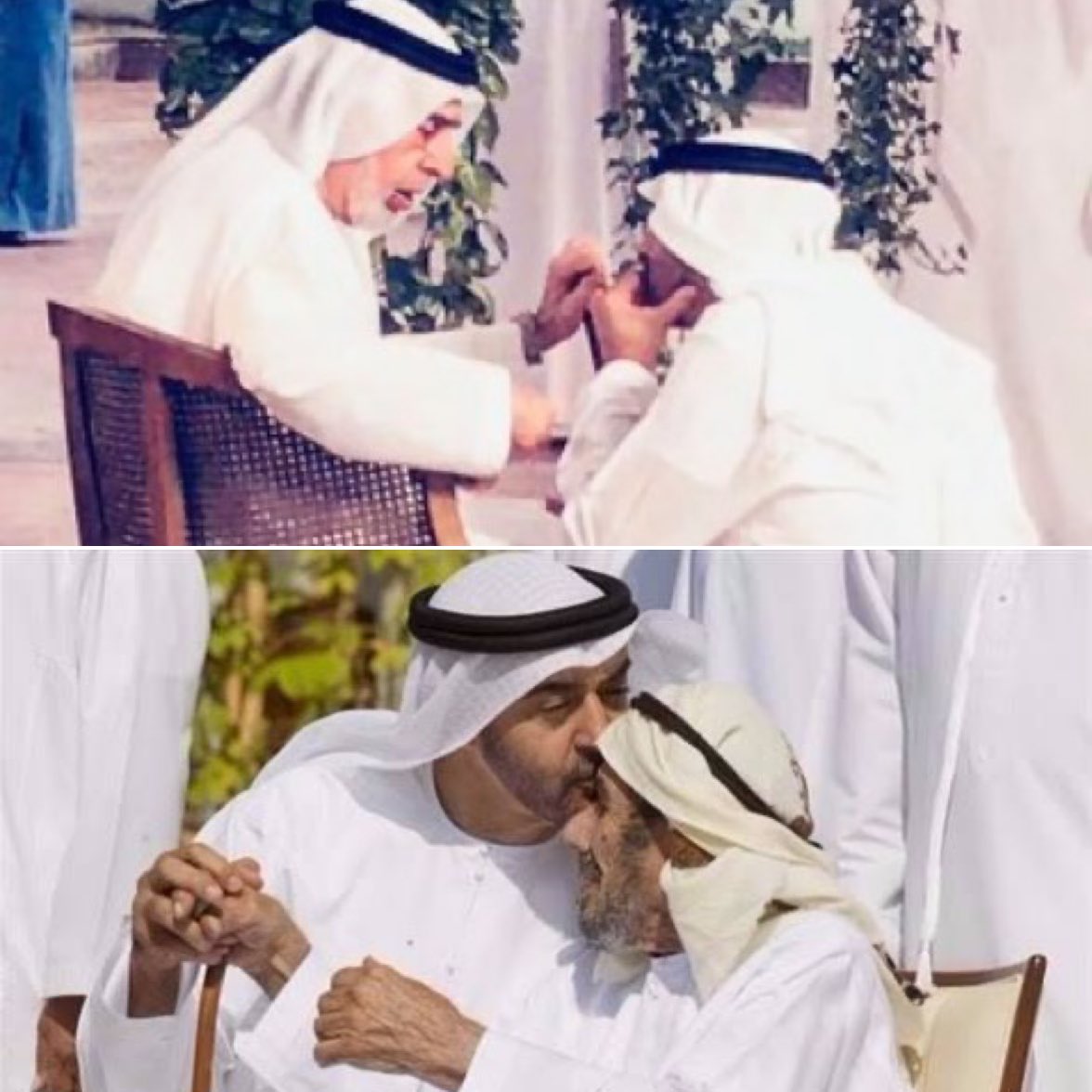 زايد الميسري tweet media