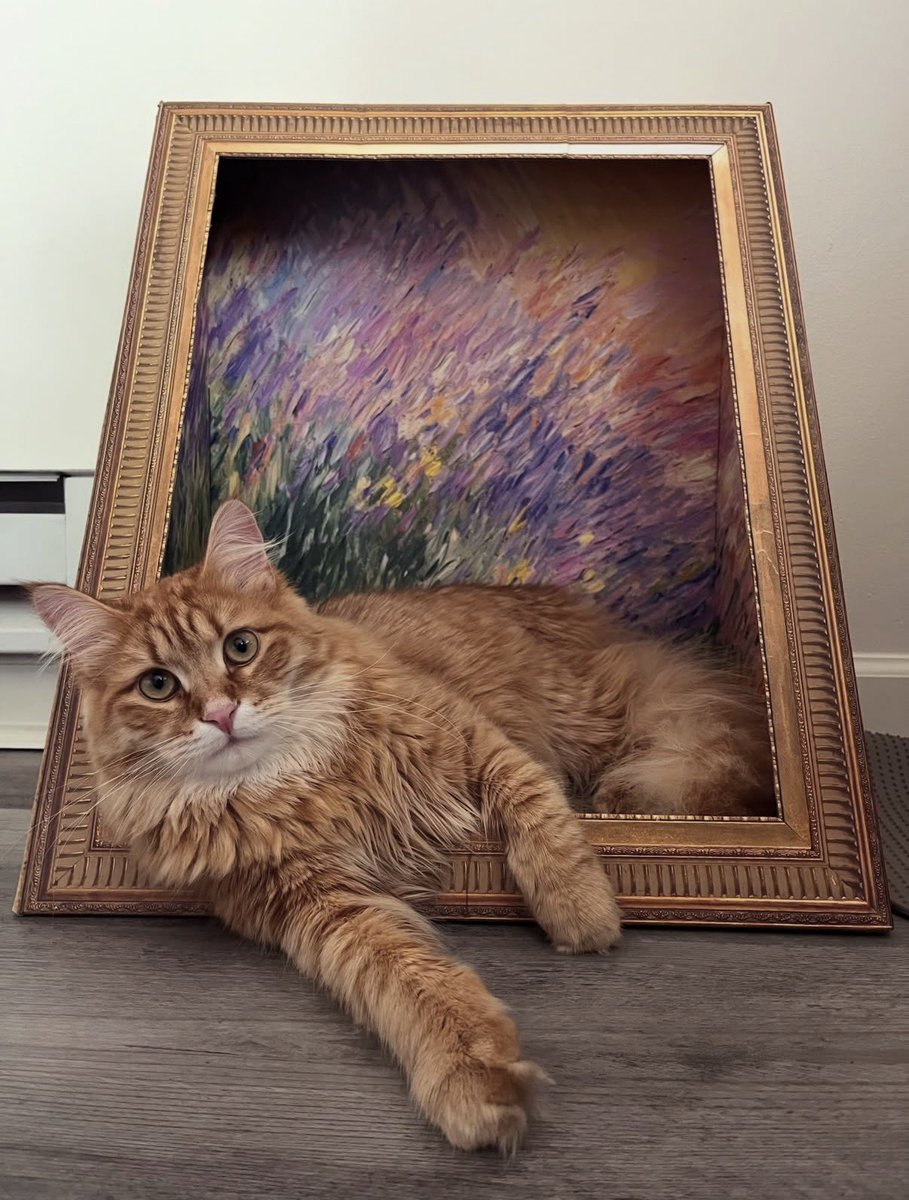 Orange Cats Are Not Dumb tweet media