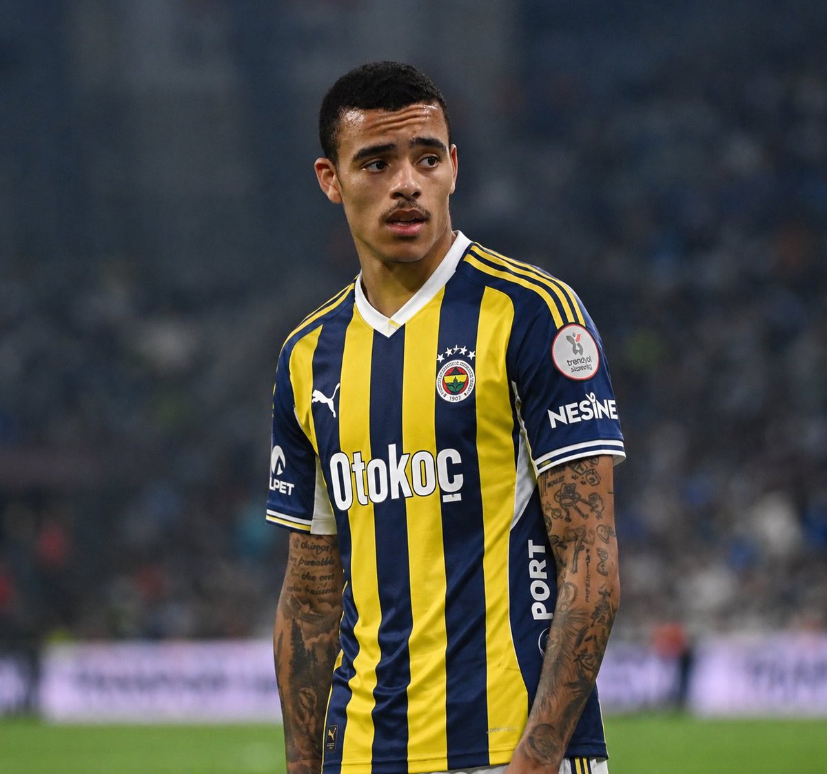 Daily Fener tweet media