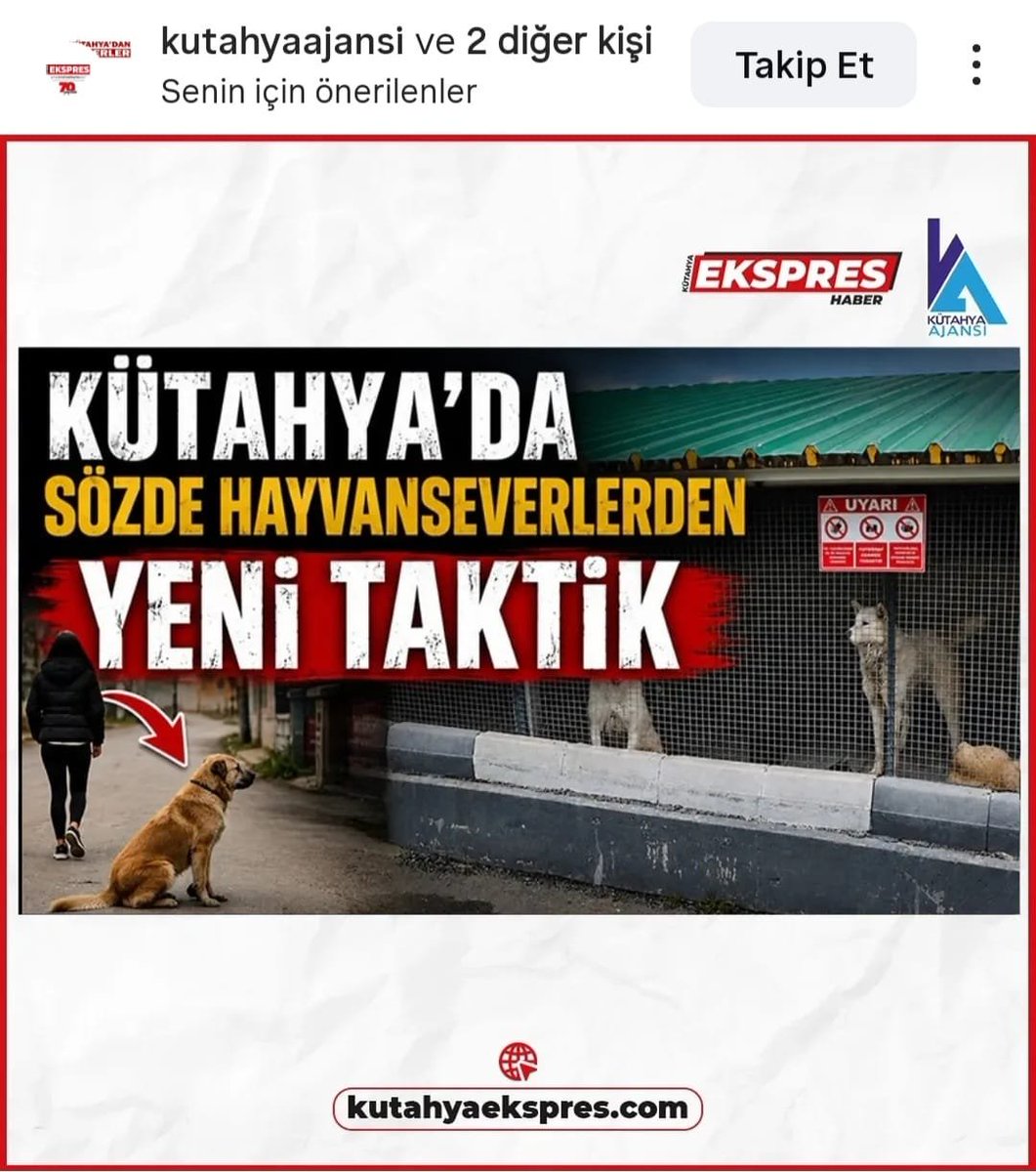 Güvenli Sokaklar tweet media