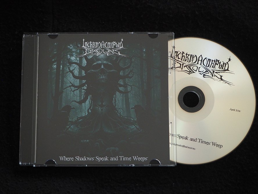 Depressive Illusions Records tweet media
