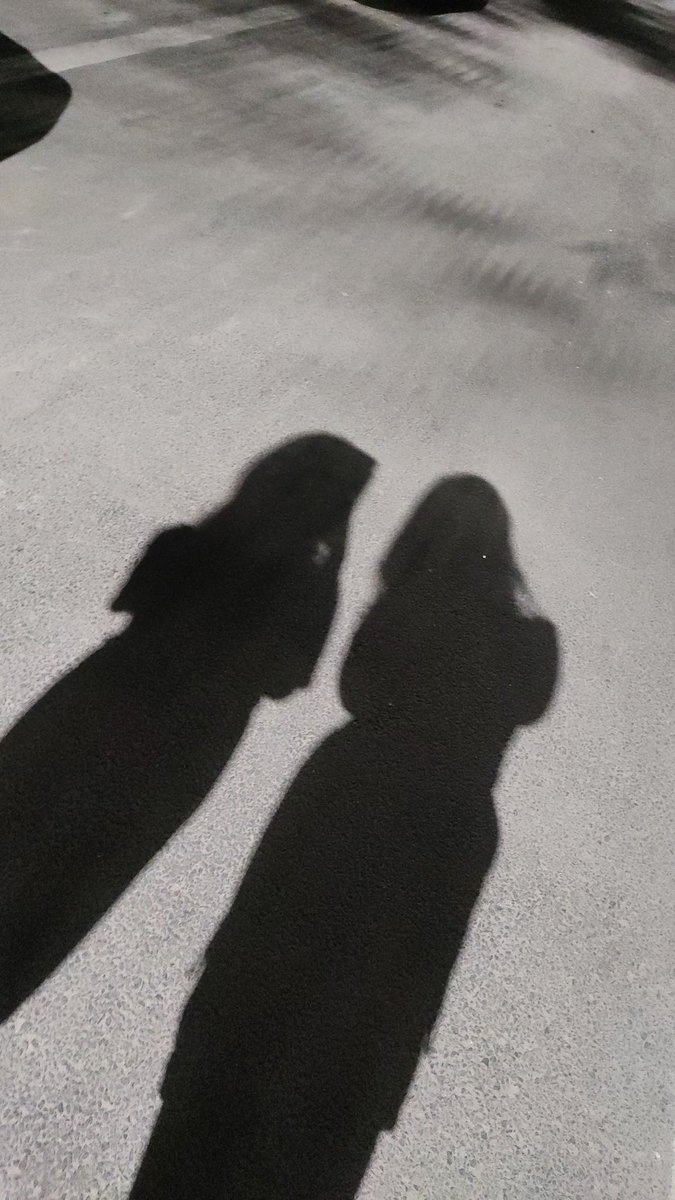 sokyujinn's tweet photo. YOUNGSEO DAYOFF PLAYGROUND update 

🐱: late night walks with bailey unnie https://t.co/d2txzfTFSj