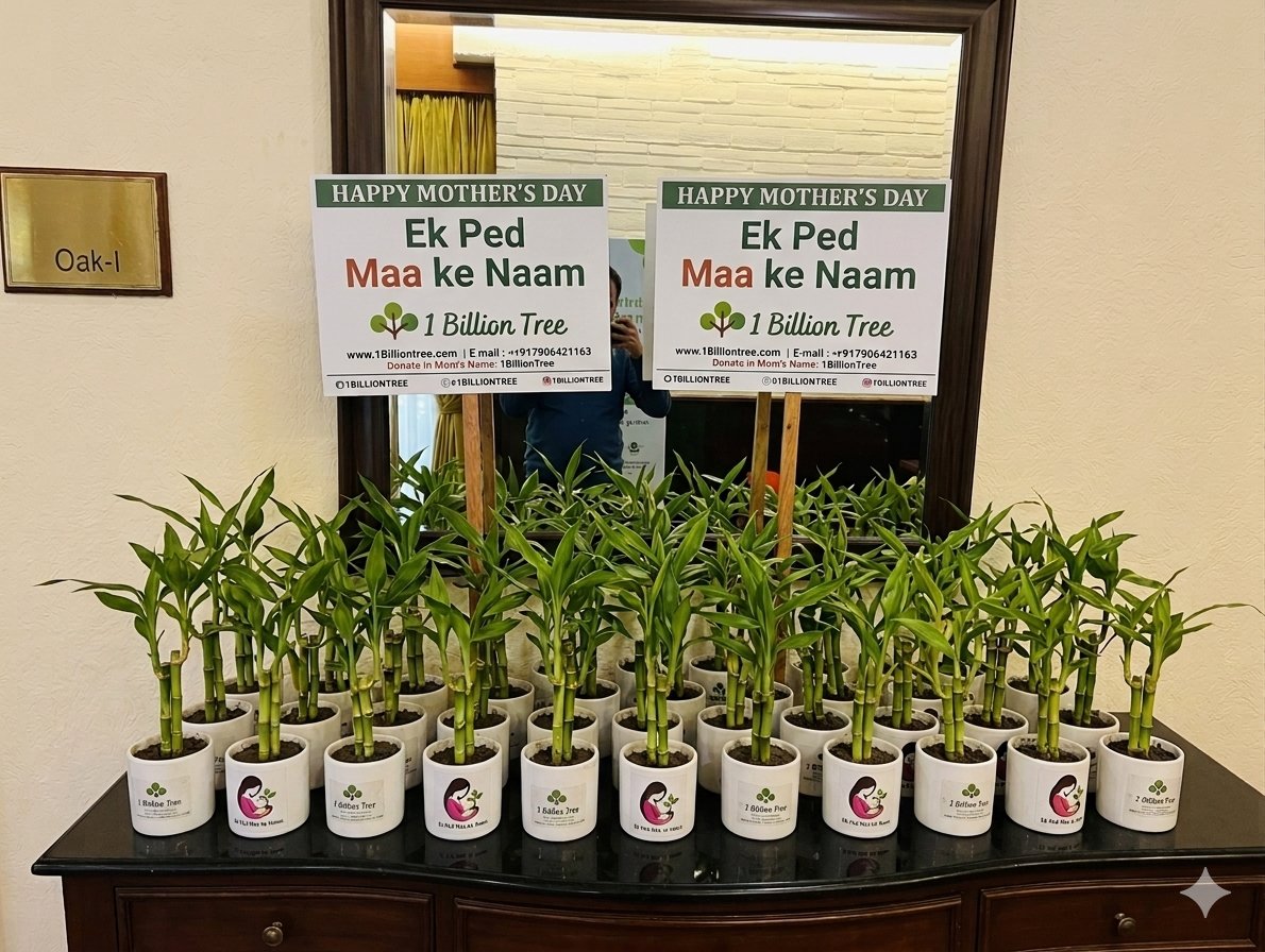 1billiontree's tweet photo. She nurtured you, watched you grow, and gave you the shade of her unconditional love. This Mother’s Day,  Let's Plant a promise of a greener tomorrow with *"Ek Ped Maa Ke Naam". 🌳
Happy Mother’s Day to all the incredible moms!
#EkPedMaaKeNaam #1BillionTree #MothersDay2026 https://t.co/OJkHlYuUK8