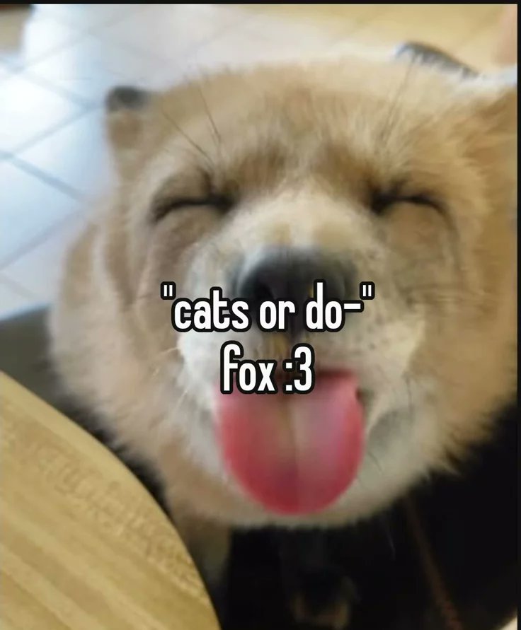 🍁 𝓣𝓱𝓮 𝓕𝓸𝔁 𝓛𝓲𝓯𝓮 🌾🦊 tweet media