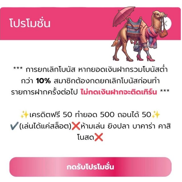 อูมโหนกอูฐ tweet media