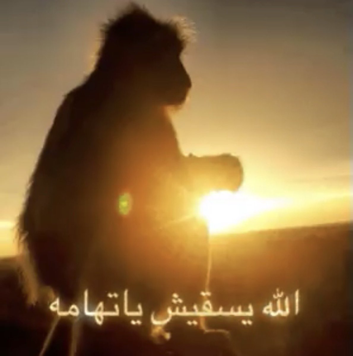 ^-^ tweet media