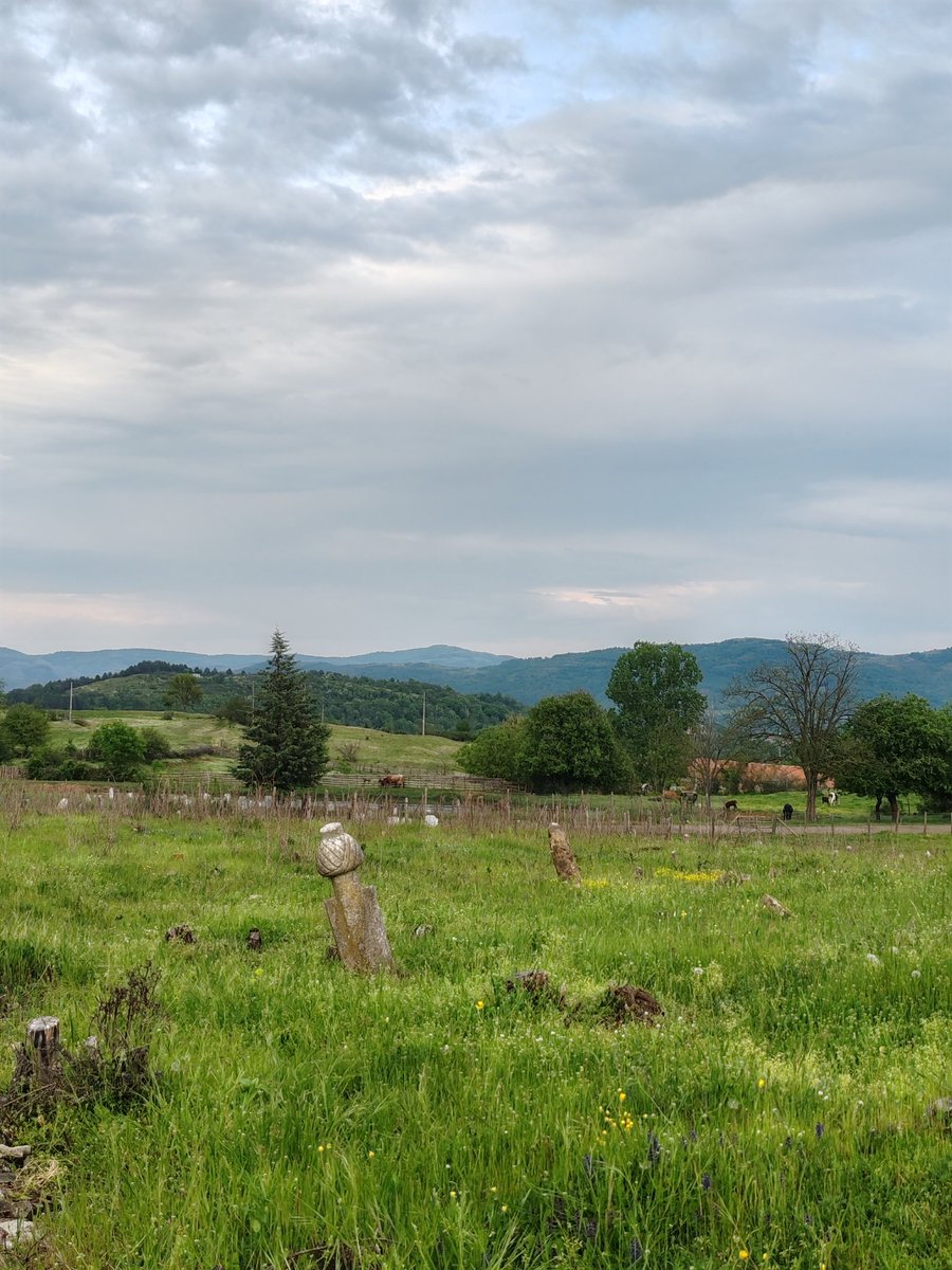 mustafa_isik89's tweet photo. Canbaşalı (Duşinkovo), bir dönem Cebel’in eski merkezi konumunda bulunan bir yerleşim yeriydi. Burada ayrıca bereketin devamlılığı için, sonbaharda mahsullerin tarlalardan hasat edilmesinin ardından bölgeye özgü “Yaren Bayramı” kutlanmaktadır.
#Rodoplar https://t.co/q1K1LLmEeV