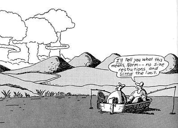 I appreciate this Far Side cartoon presently a lot more than I did as a child