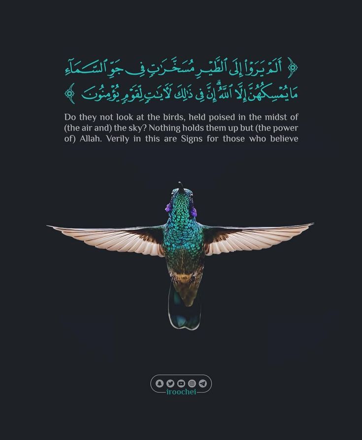Al_Quran_011's tweet photo. reposts, it will help you❤🕊️ https://t.co/pnf2Kxwdso