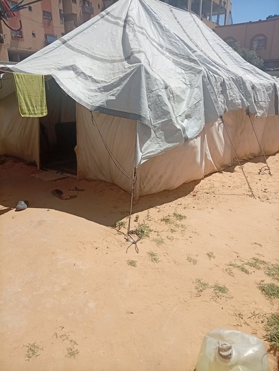 MohammadRonza91's tweet photo. A little girl living in a tent under very harsh conditions, dreaming only of safety, food, and warmth.
Your small support can change an entire family’s life and give them hope again 🤍
https://t.co/m4YpUrpVwd
@umaymohamed https://t.co/pTVij4zBix