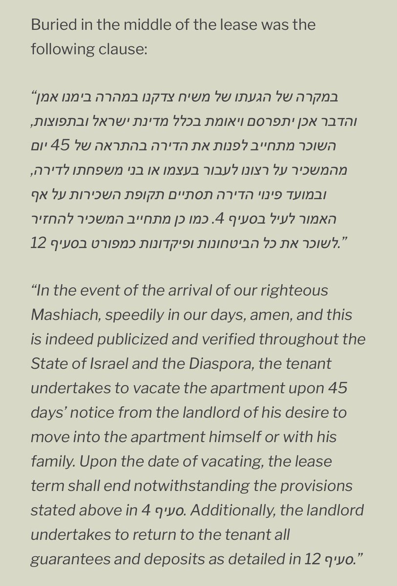 David/Dovid Bashevkin tweet media