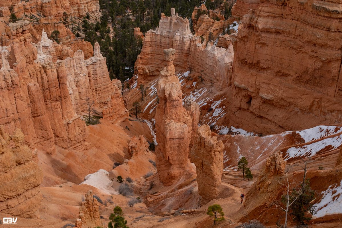 Obv2003's tweet photo. Bryce Canyon was probably my favorite National Park out of the 11 we checked out on this trip. The roadway through the park is relatively short located on the eastern portion of the canyon allowing you to face into all of the orange and white rocks.

@NatlParkService @VisitUtah https://t.co/dEoPuEBXXL