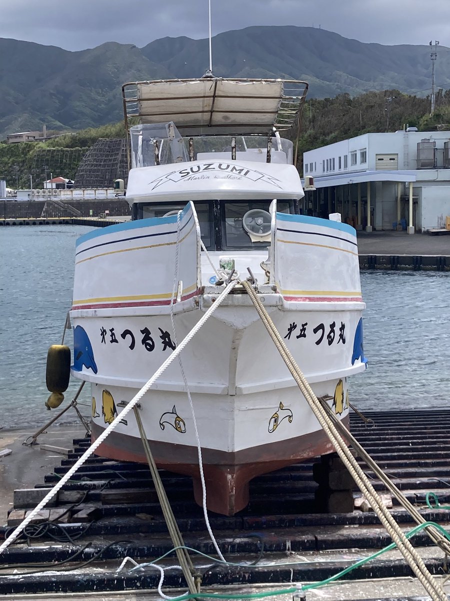 八丈島ダイビングスズミ tweet media