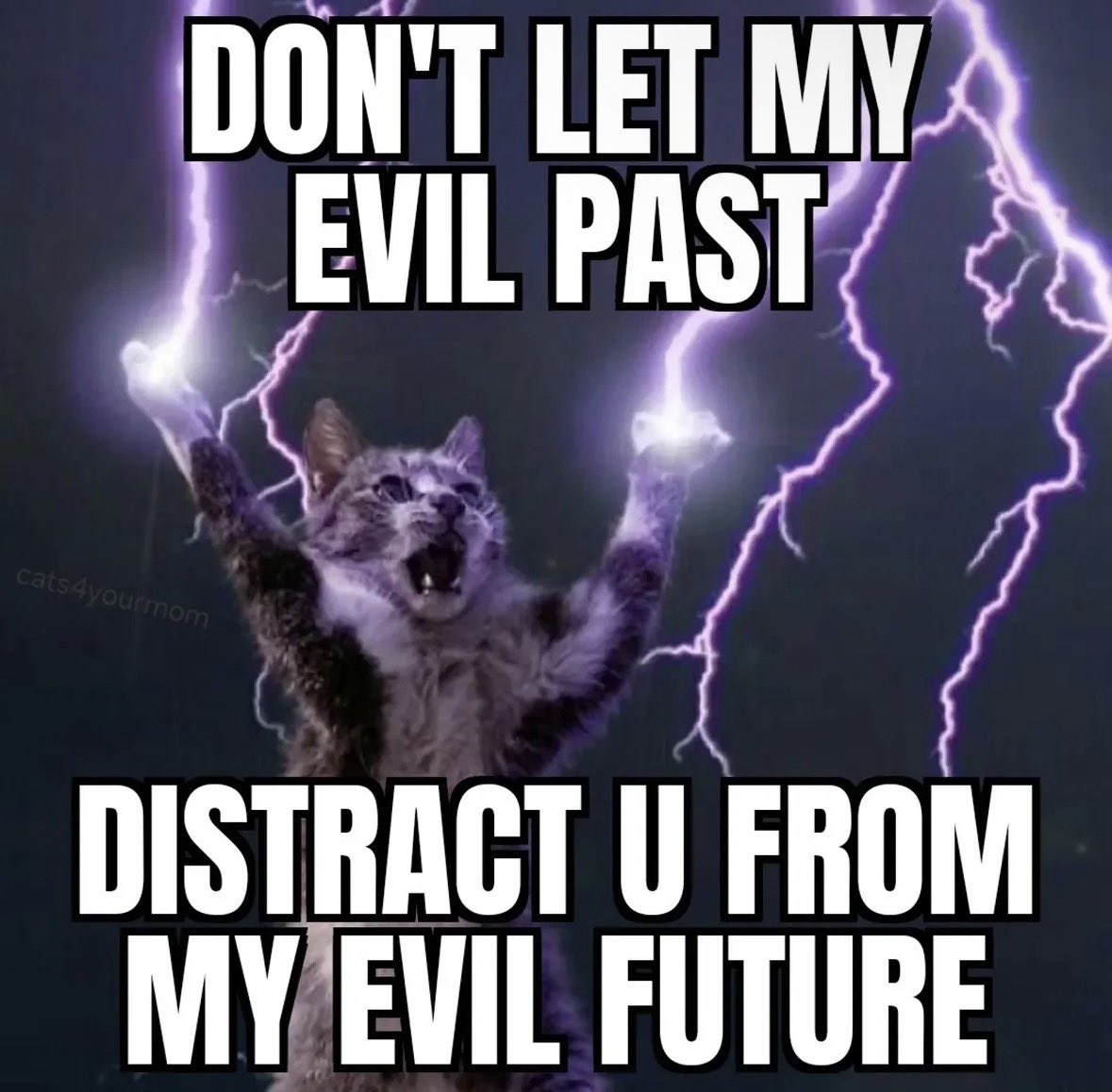 evilcet tweet media