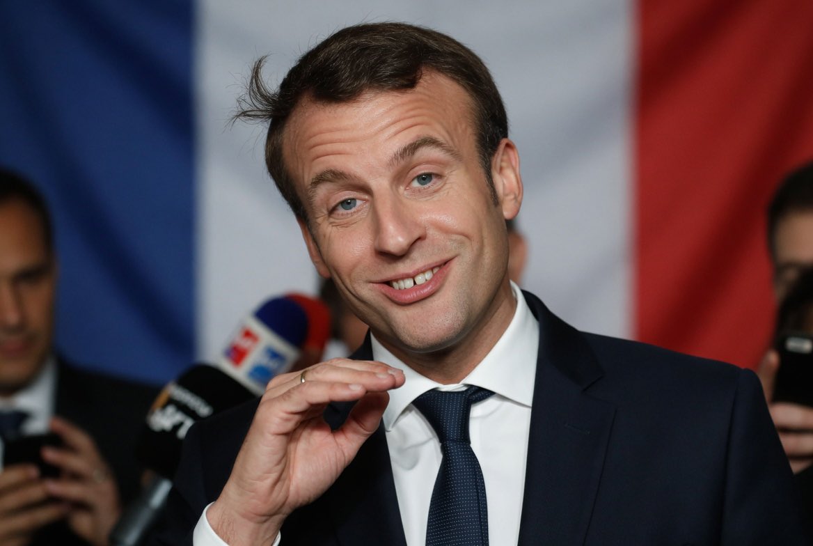 Wootzoo 🇫🇷🇩🇪 tweet media