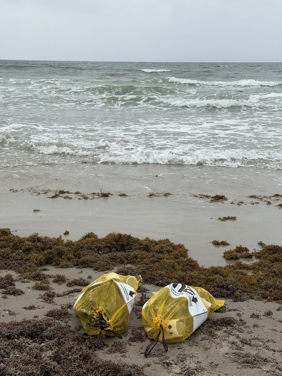Badplastic20's tweet photo. Happy Mother’s Day to everyone one. A great beach day. We walked the fishing jetty, swam on Mustang island beach. A little community service got 2 bags of plastic off the beach. #onemillionbags #tpwd . Have a great day! https://t.co/zihgnJUc0I