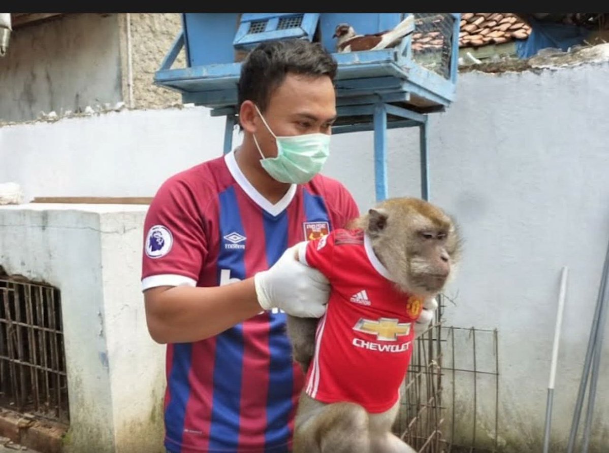 Gooners Report Indo tweet media