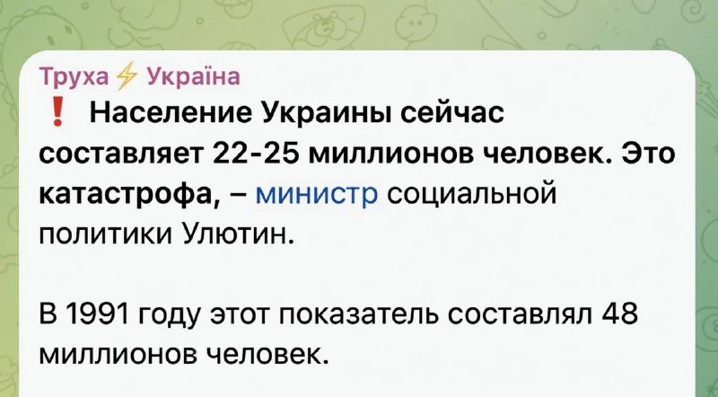 Danil Kardashov tweet media
