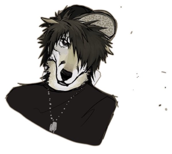 lobo tweet media