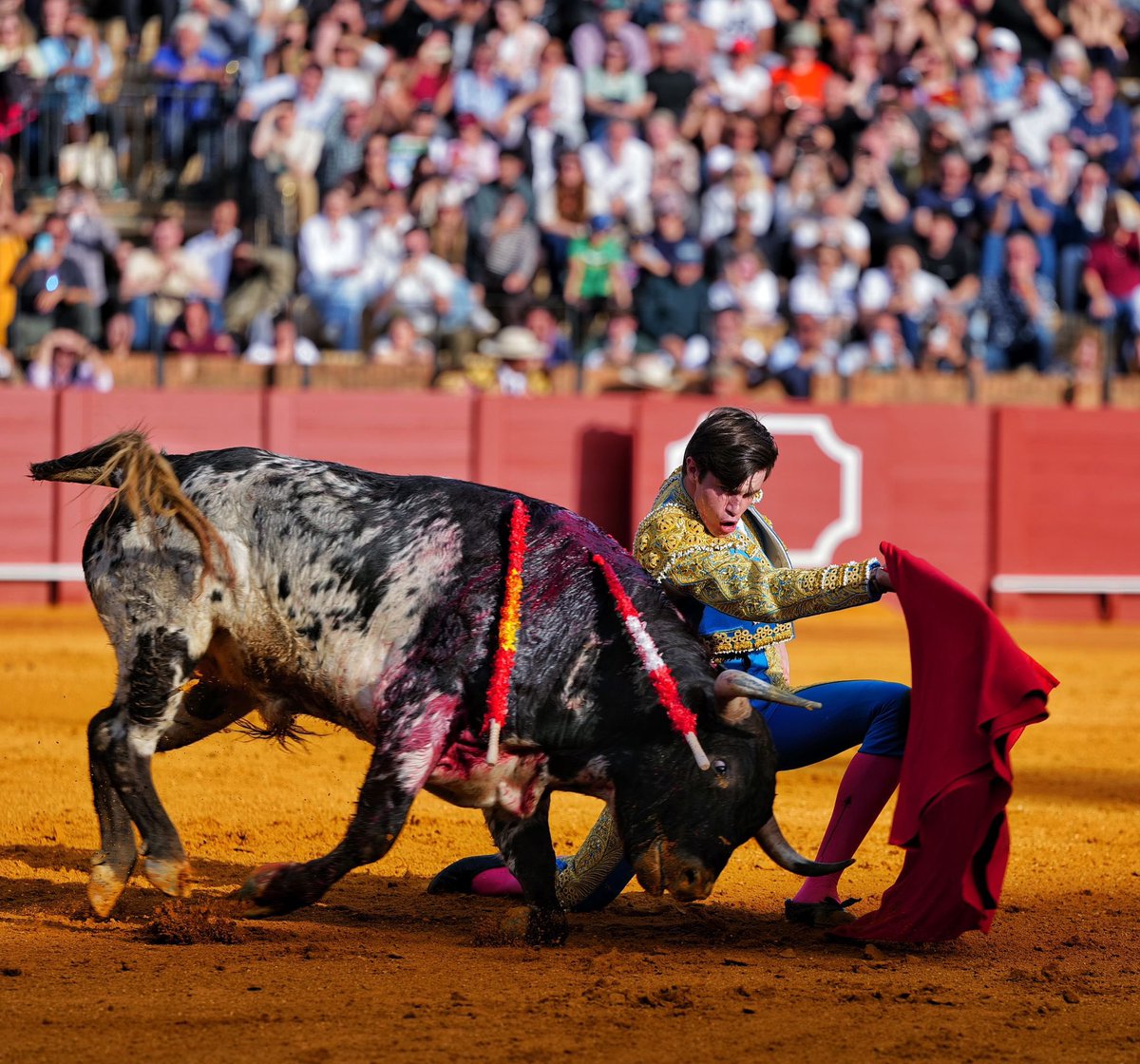 LancesMaestranz's tweet photo. 📸 Ovación para MARIO VILAU en el 2️⃣

🐂  La Cercada https://t.co/EFVwffpVKW