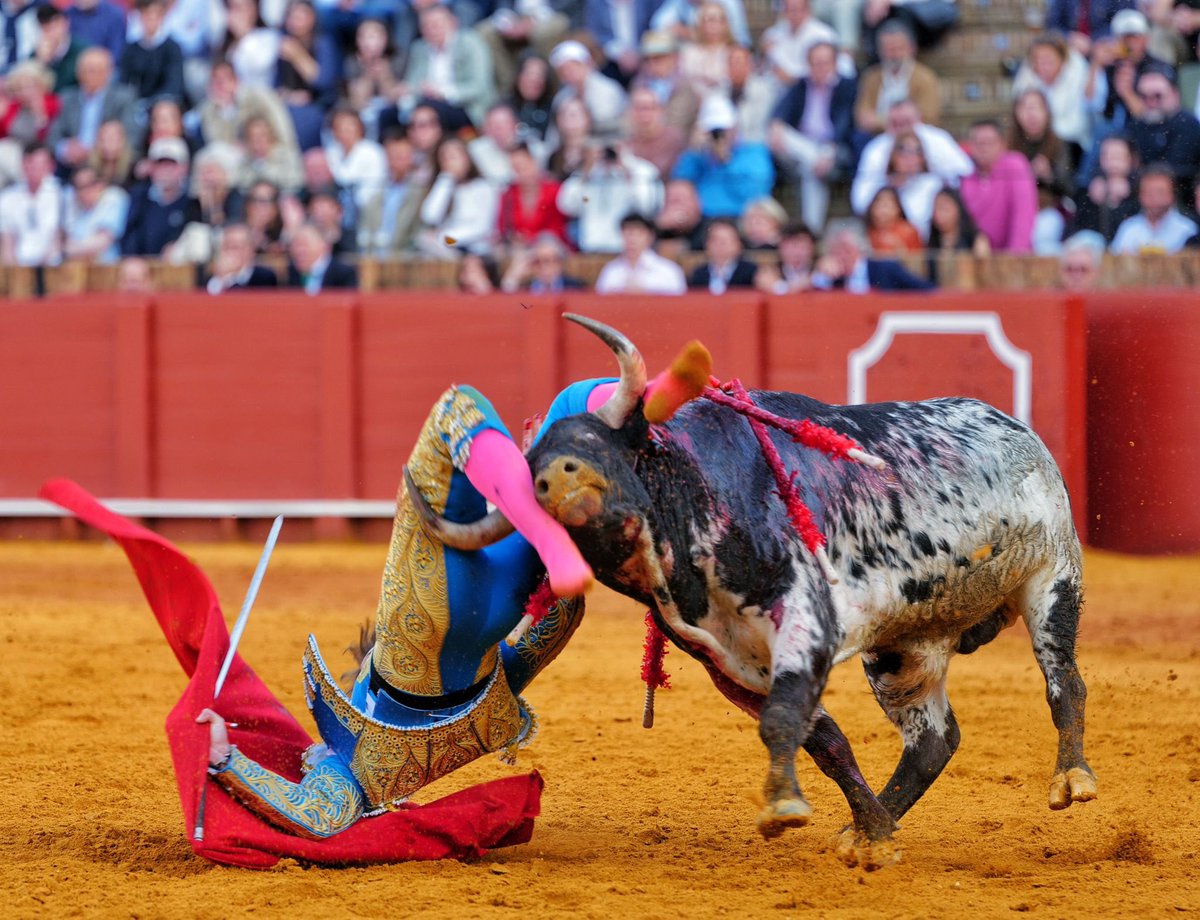 LancesMaestranz's tweet photo. 📸 Ovación para MARIO VILAU en el 2️⃣

🐂  La Cercada https://t.co/EFVwffpVKW