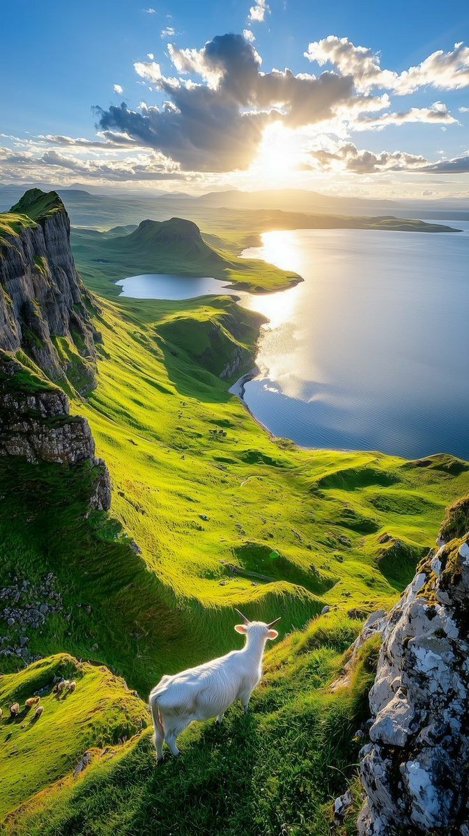 Beauty Of Earth tweet media