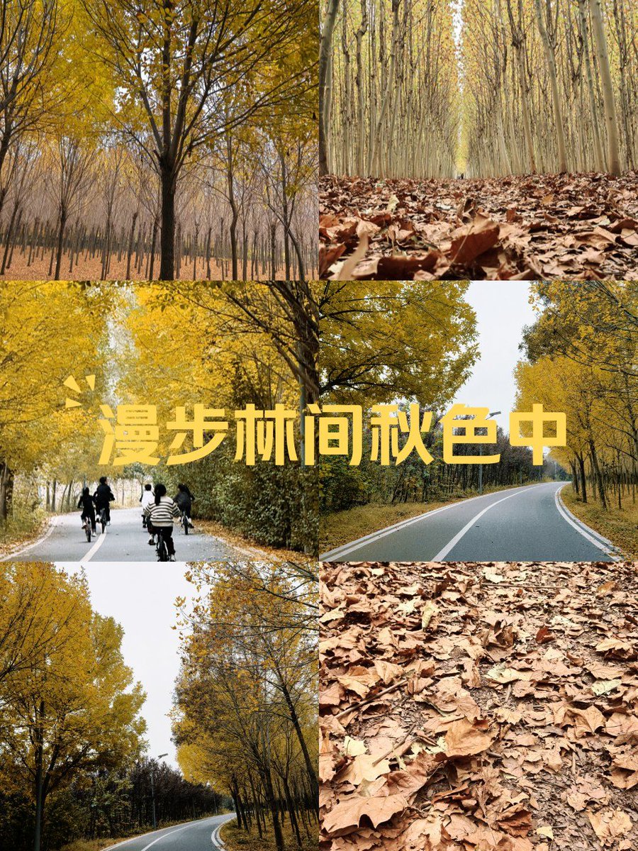 David Covington tweet media
