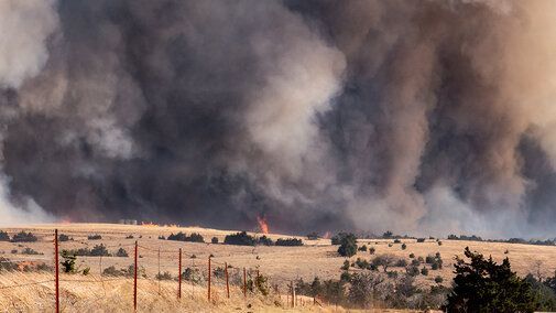 Nebraska CropWatch tweet media
