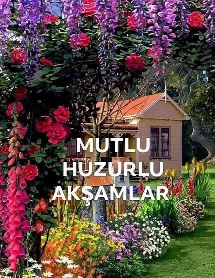 mert tweet media