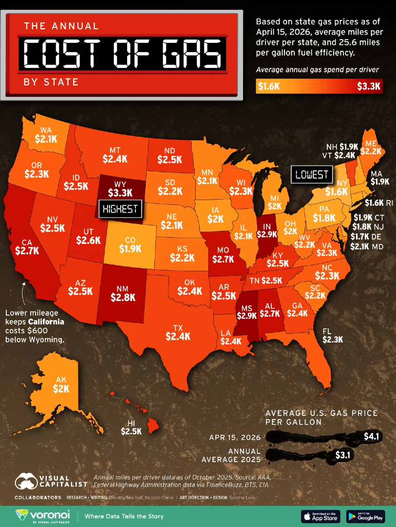 Visual Capitalist tweet media