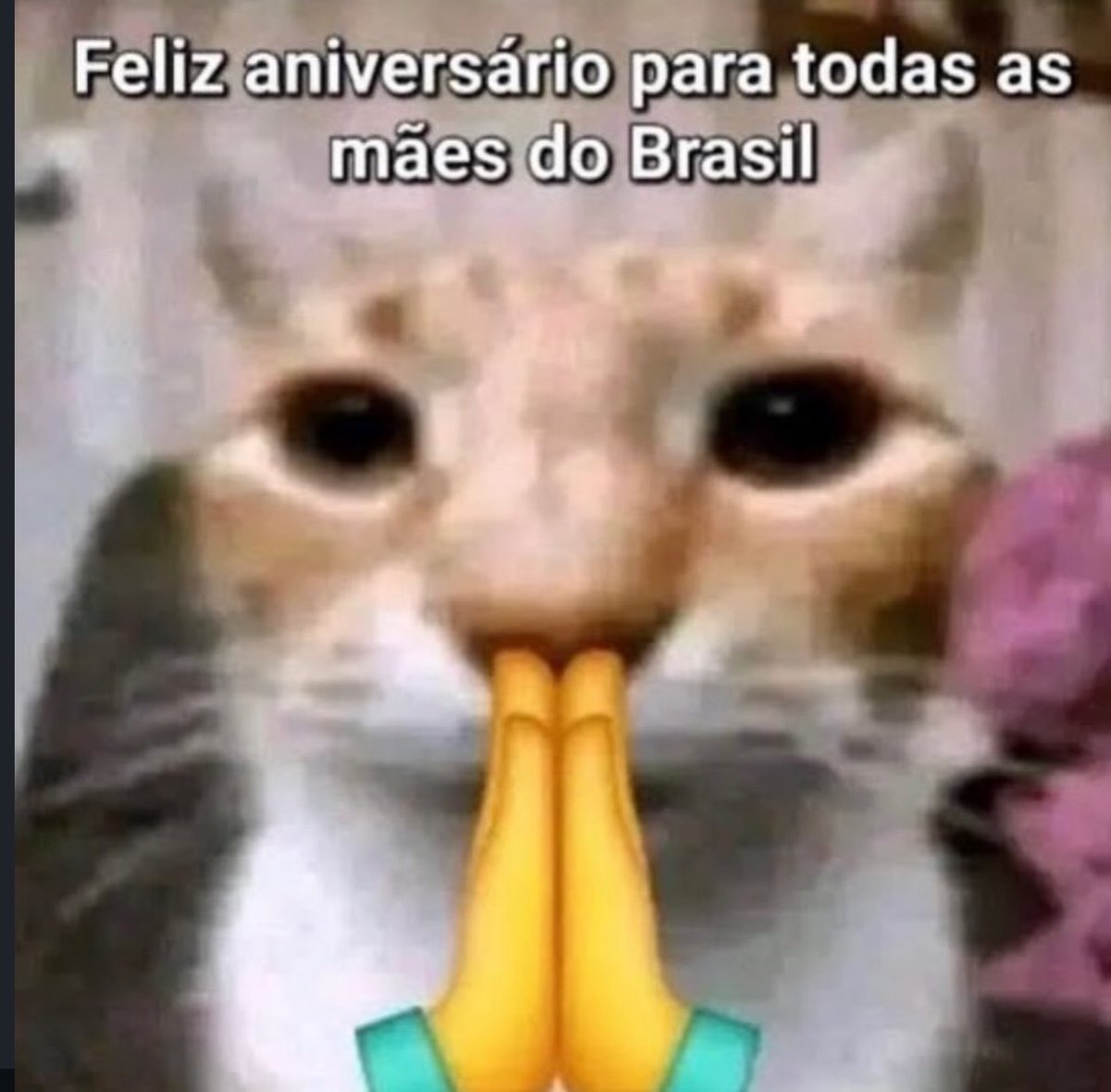 Pérolas da Libidinagem tweet media