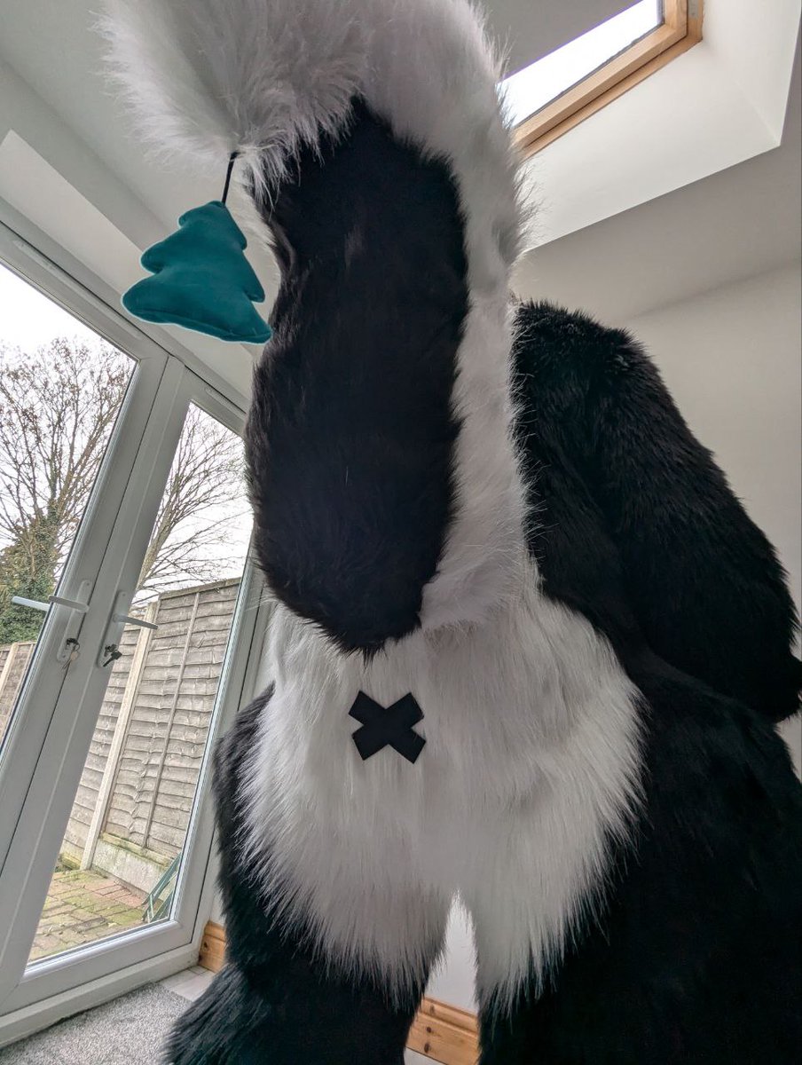 Raised Tail 🔜 CFz tweet media