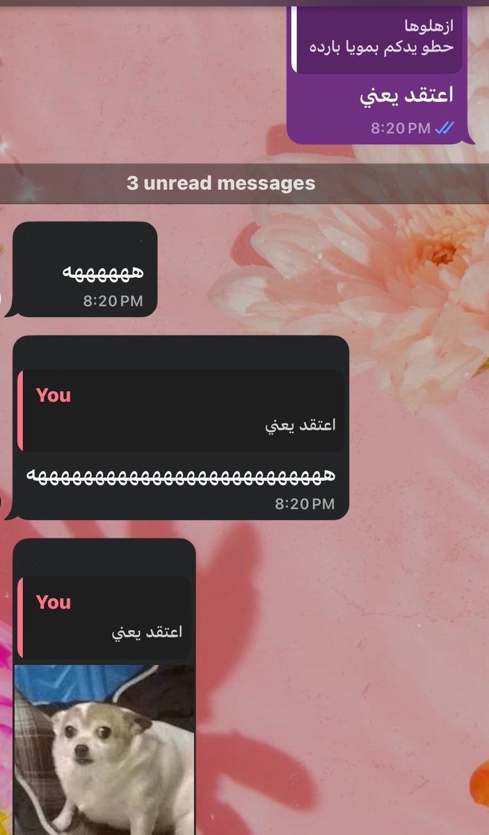 لـيـان الاحـمـدي || 👩🏻‍💻 tweet media