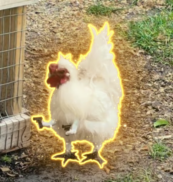 SwappaSol's tweet photo. @blknoiz06 @LaurensW1535 @rasmr_eth Name this chicken wif gun https://t.co/1kcIgiR5p9