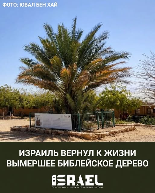 Tanya Narbut🇮🇱🇺🇦 tweet media