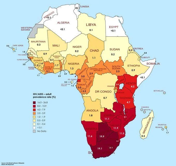 African Maps tweet media
