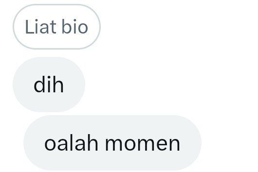 bri tweet media