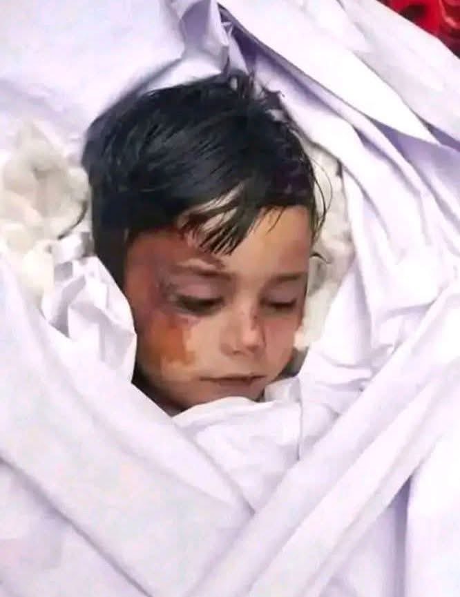 𝐌𝐮𝐬𝐥𝐢𝐦 𝐊𝐚𝐧𝐝𝐨𝐳𝐢مسلم کندزی tweet media