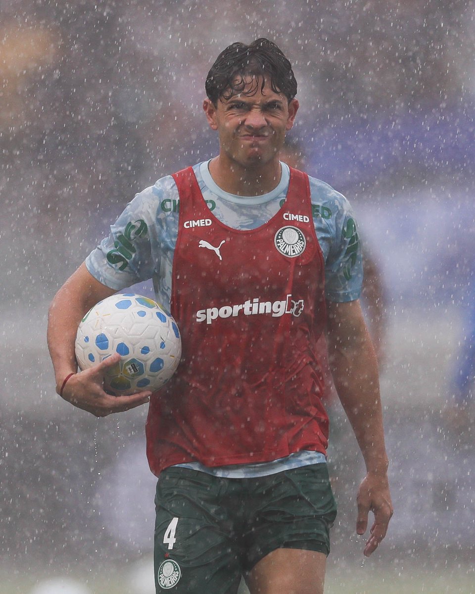 SE Palmeiras tweet media