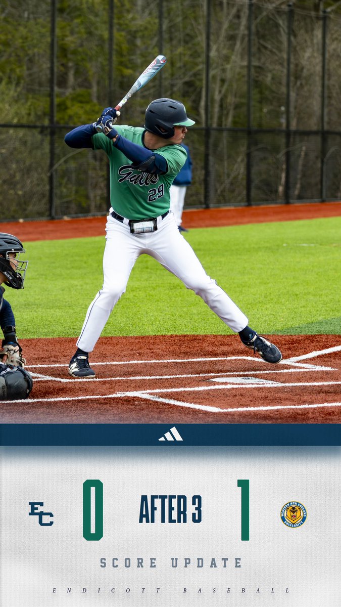 Endicott Baseball tweet media