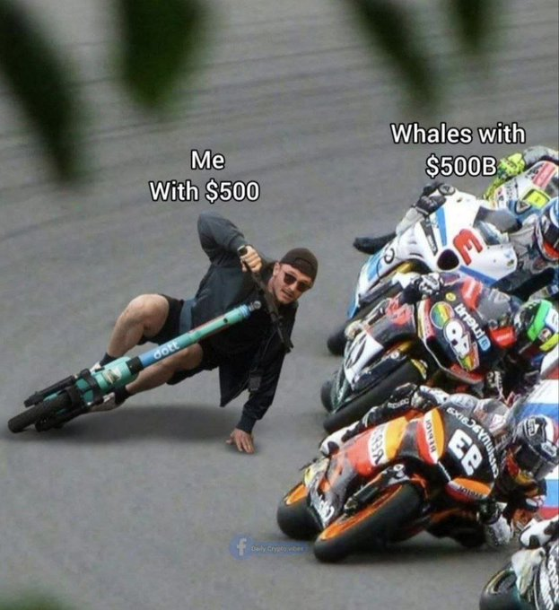 CryptoWhale™ tweet media